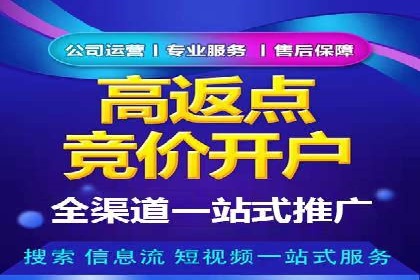 深度解析：百度推广代理的运营策略与效果